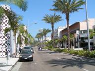 Rodeo Drive 1