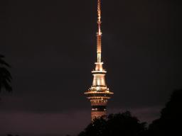 Skytower bei Nacht